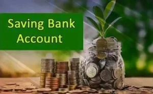 Savings Account Advantages and Disadvantages