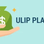 Insurance Investment Plans: ULIP or Endowment?